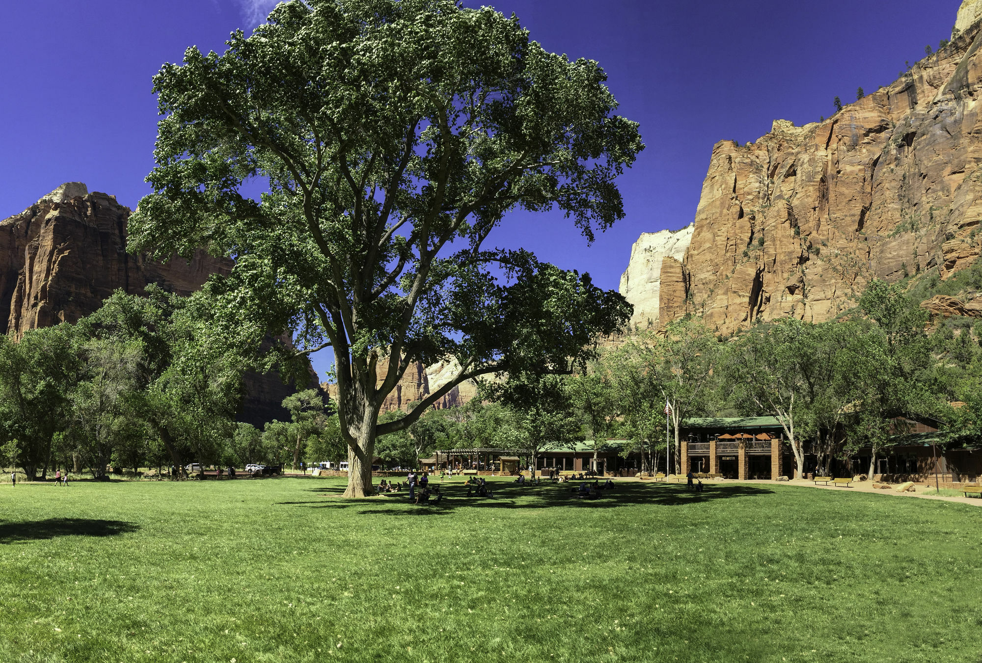 Zion Lodge สปริงเดล ภายนอก รูปภาพ