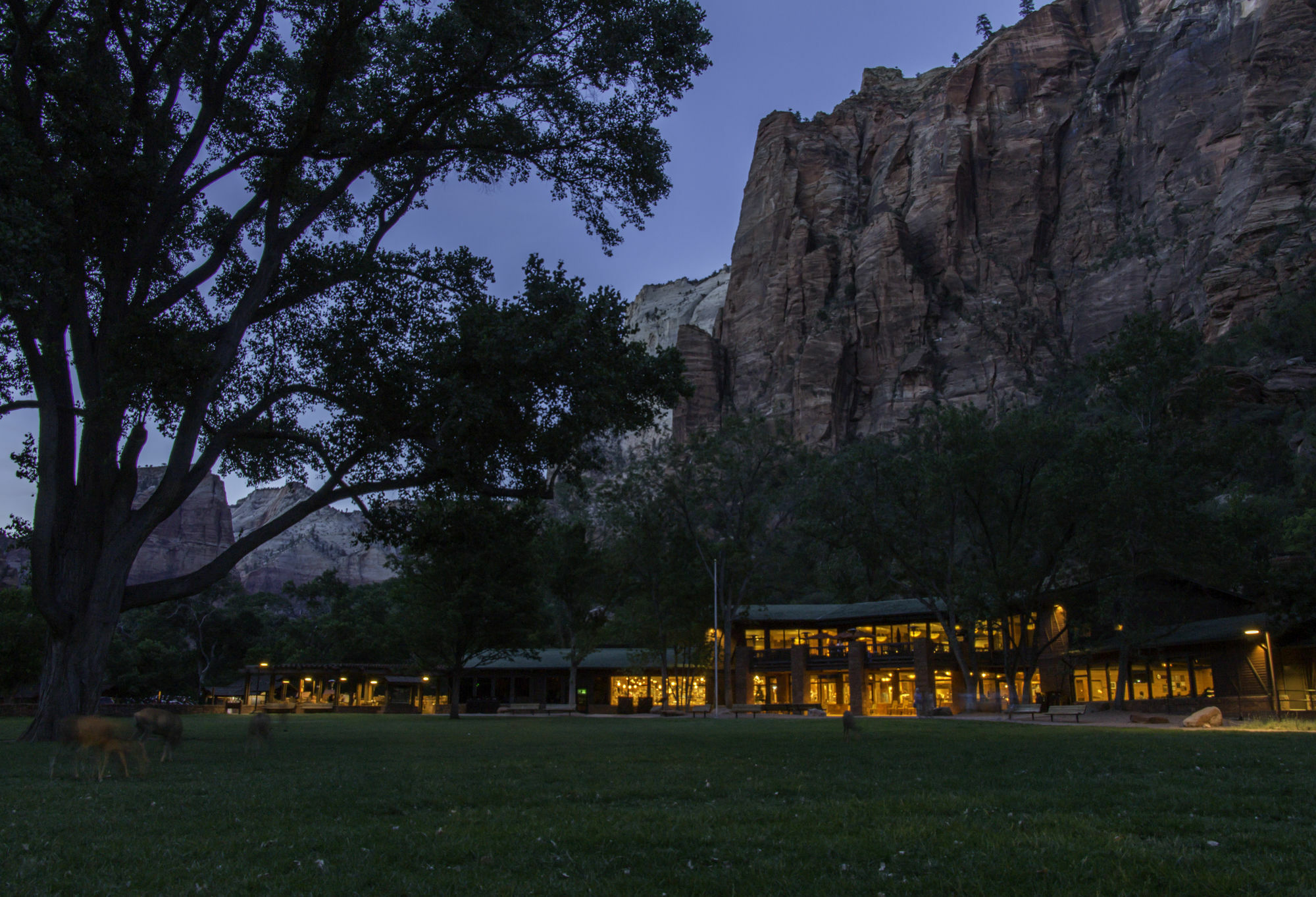Zion Lodge สปริงเดล ภายนอก รูปภาพ