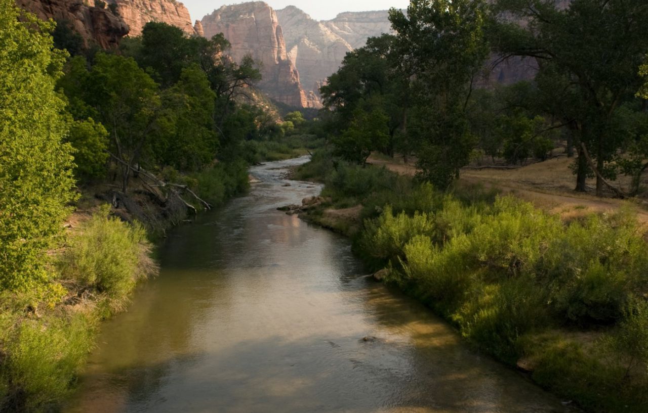 Zion Lodge สปริงเดล ภายนอก รูปภาพ